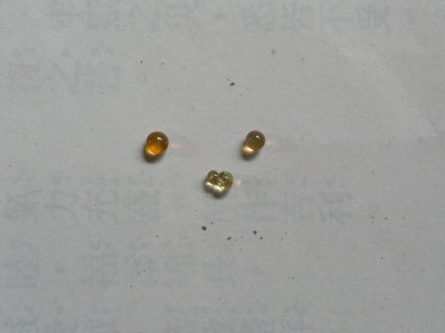lofter子博客_鬼道子博客_鬼道子的新浪微博