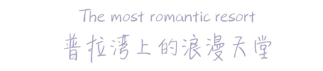 碧绿色的房间背后的故事_碧绿色房间骷髅_碧绿色房间