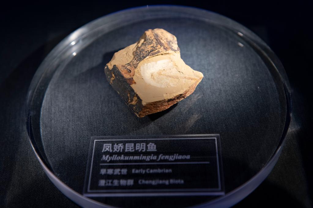 亿目_目的组词_目不窥园