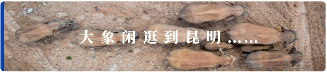 算法常用数据大小是什么_算法常用数据大小排序_大数据常用算法