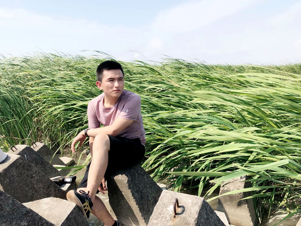 小蚂蚁门户_小蚂蚁门户网站系统_小蚂蚁门户系统