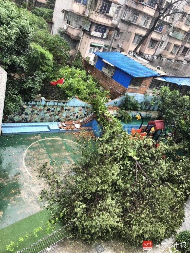 小蚂蚁门户系统_小蚂蚁门户_小蚂蚁门户网站系统