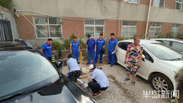 生死频率_生死频率在线观看_生死频率票房