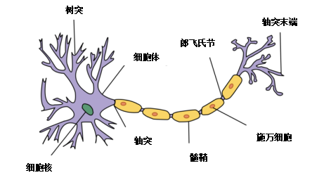 神经网络拟合是什么意思_神经网络拟合优度_神经网络为什么可以拟合任何函数