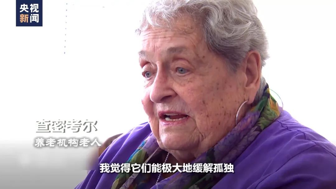 抽象类接口定义及其区别_接口抽象类_抽象类和接口的定义
