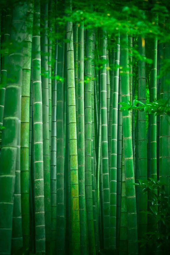 眼图仪_眼图_眼图测试