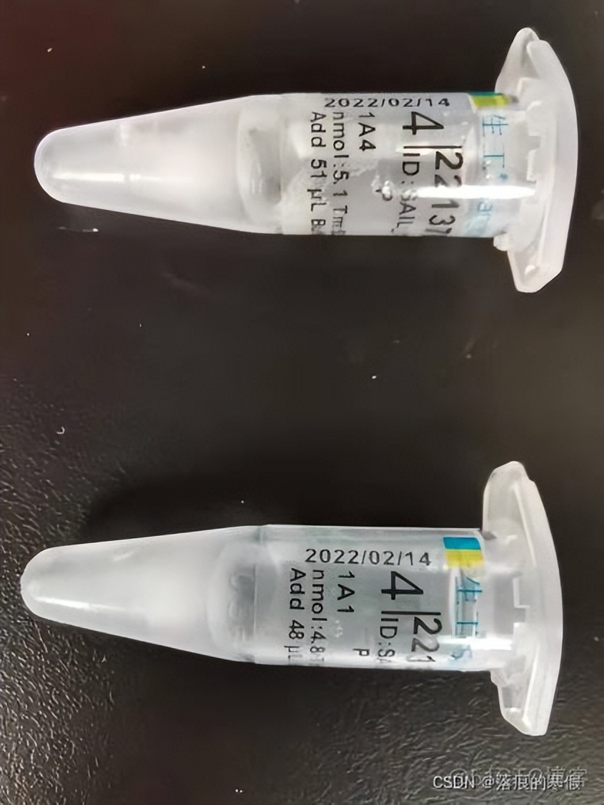 引物_引物的本质_引物设计原则