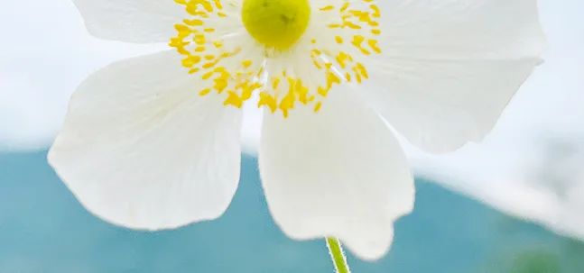 加权最小二乘法的权数选择_加权最小二乘法的权重是什么_加权最小二乘法