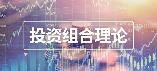投资组合理论例题_理论组合投资计算公式_投资组合理论