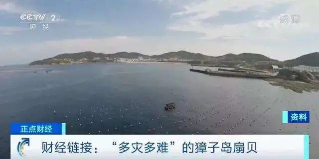 火山网络科技平台_火山平台_火山互联