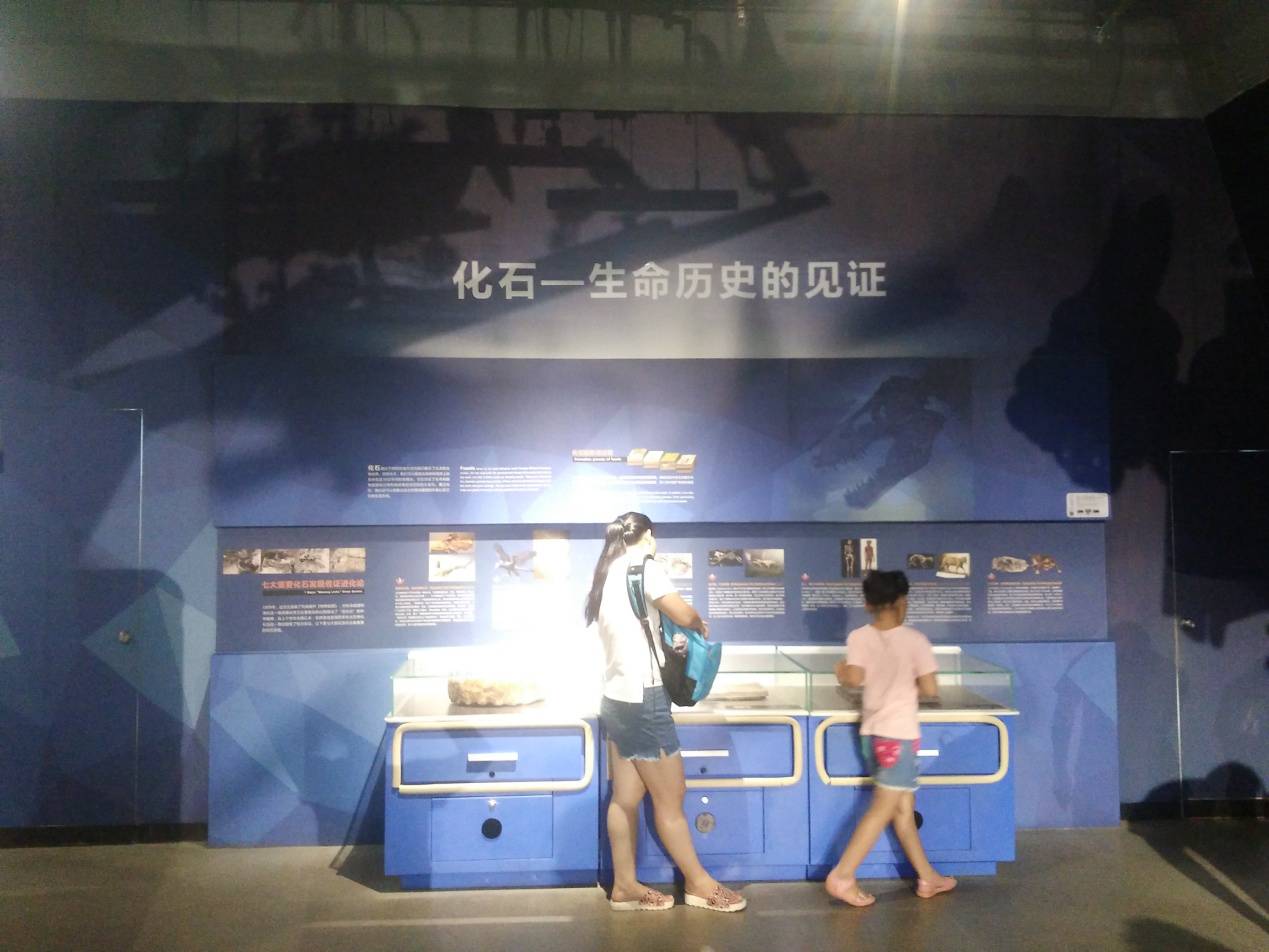 专用登陆器_唯一登陆器_登陆器配置教程