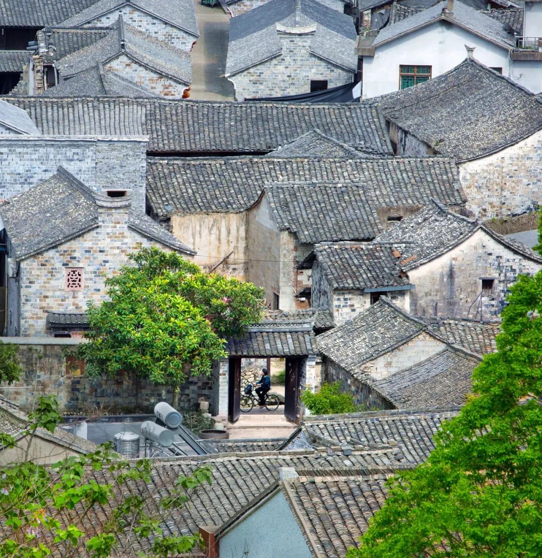 唐人立_唐人立_唐人立