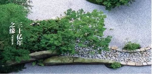 延参法师师父_延参法师博客_延参法师综艺节目视频