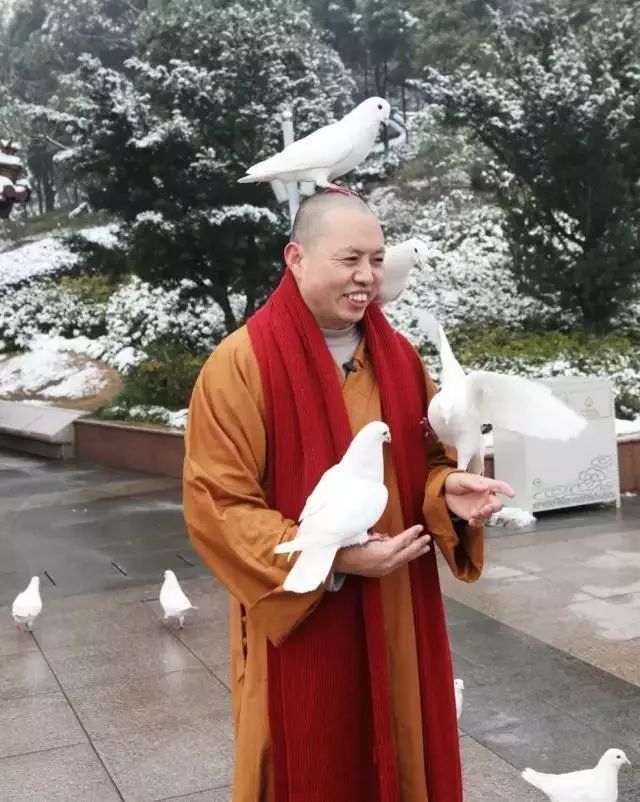 延参法师综艺节目视频_延参法师师父_延参法师博客