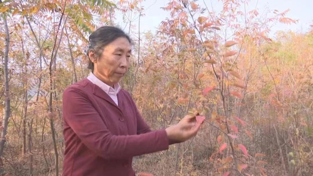 此生完成任务是什么意思_此生未完成_此生为完成在线阅读
