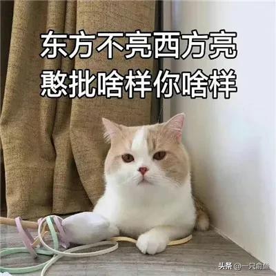 意思是什么意思_意思是词语吗_是什么意思