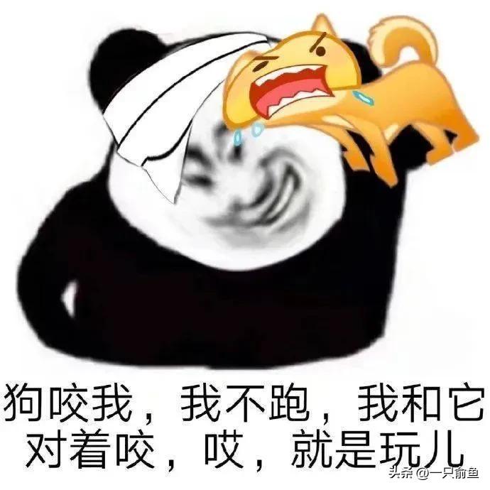 是什么意思_意思是词语吗_意思是什么意思